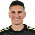 Igor NikiÄ‡