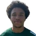 Jarell Simo