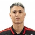Luiz Araujo