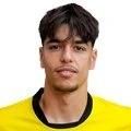 Lutfi Dalipi