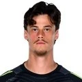 Mile Svilar