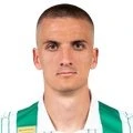 Nenad Cvetković
