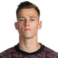 Radek Vitek