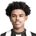Shola Shoretire