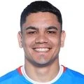 Toro Fernández