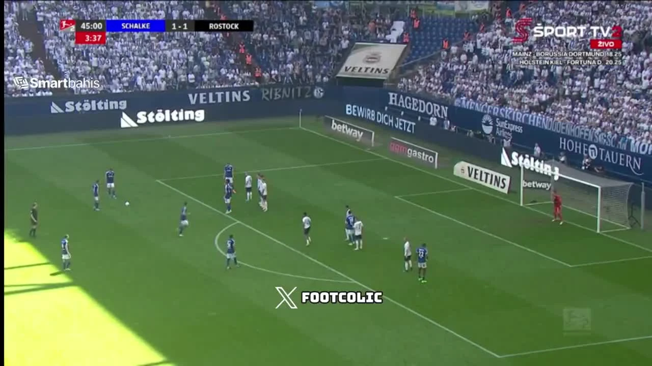 zaslepka skrotu video