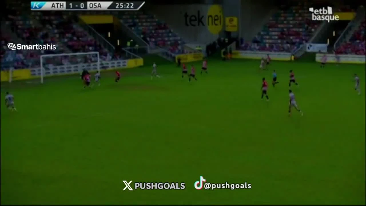 zaslepka skrotu video