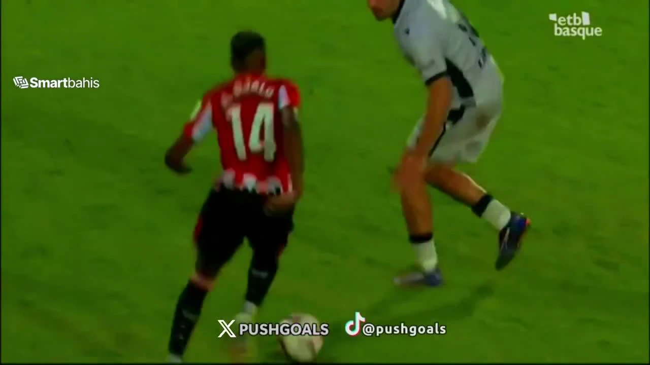 zaslepka skrotu video
