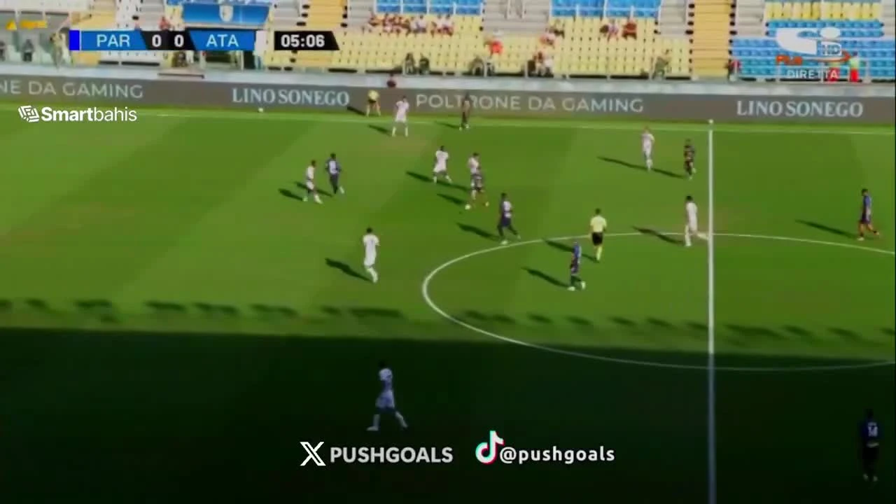 zaslepka skrotu video