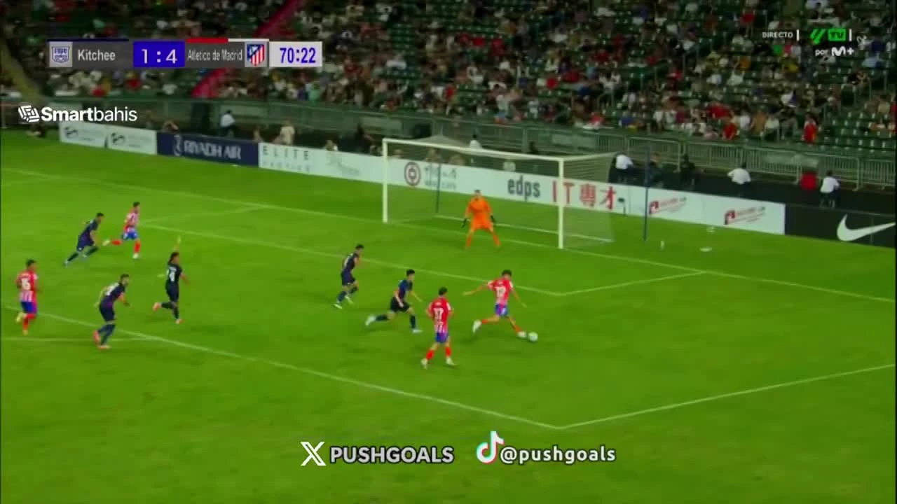 zaslepka skrotu video