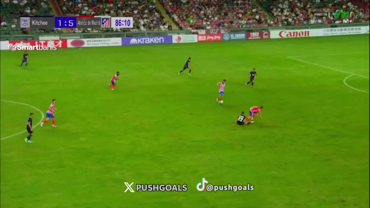 zaslepka skrotu video