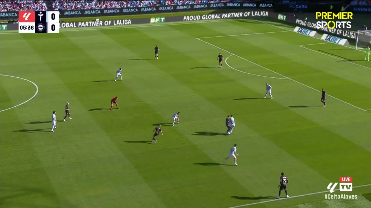 zaslepka skrotu video