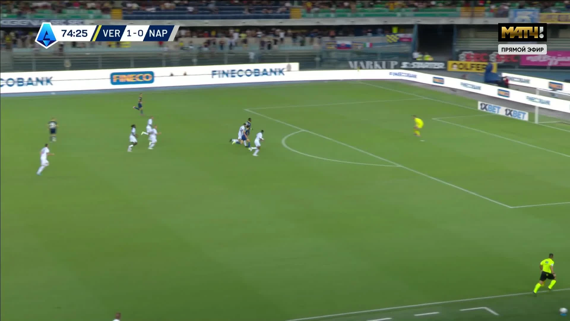 zaslepka skrotu video