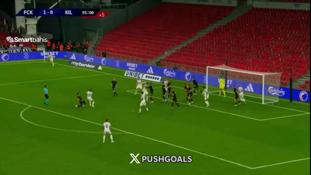zaslepka skrotu video