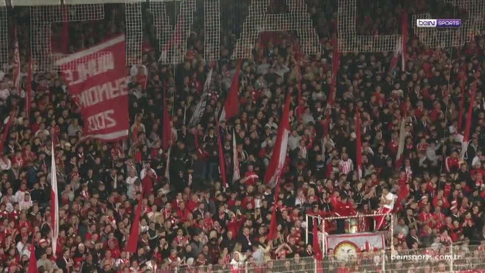 zaslepka skrotu video