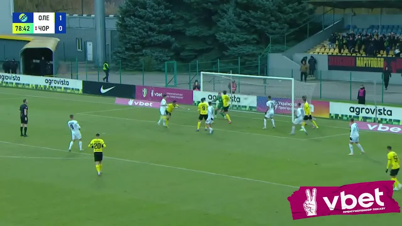 zaslepka skrotu video