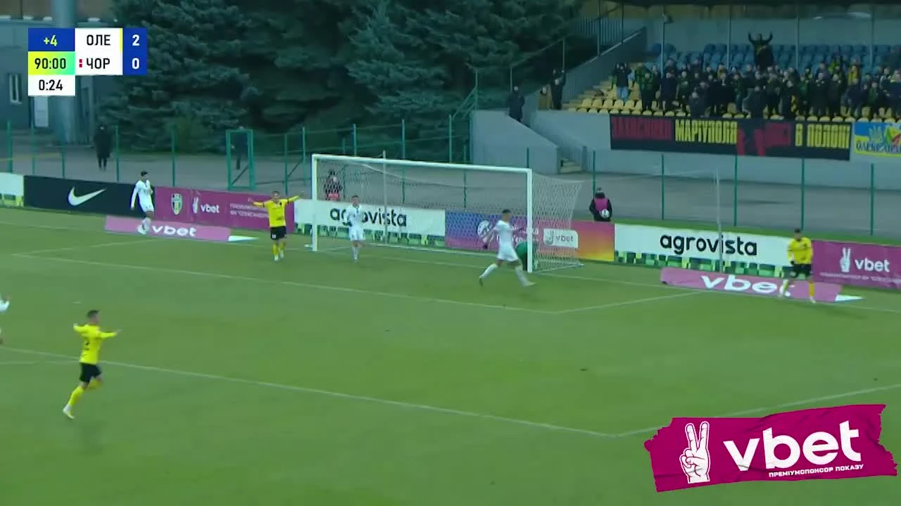 zaslepka skrotu video