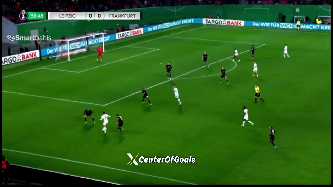 zaslepka skrotu video