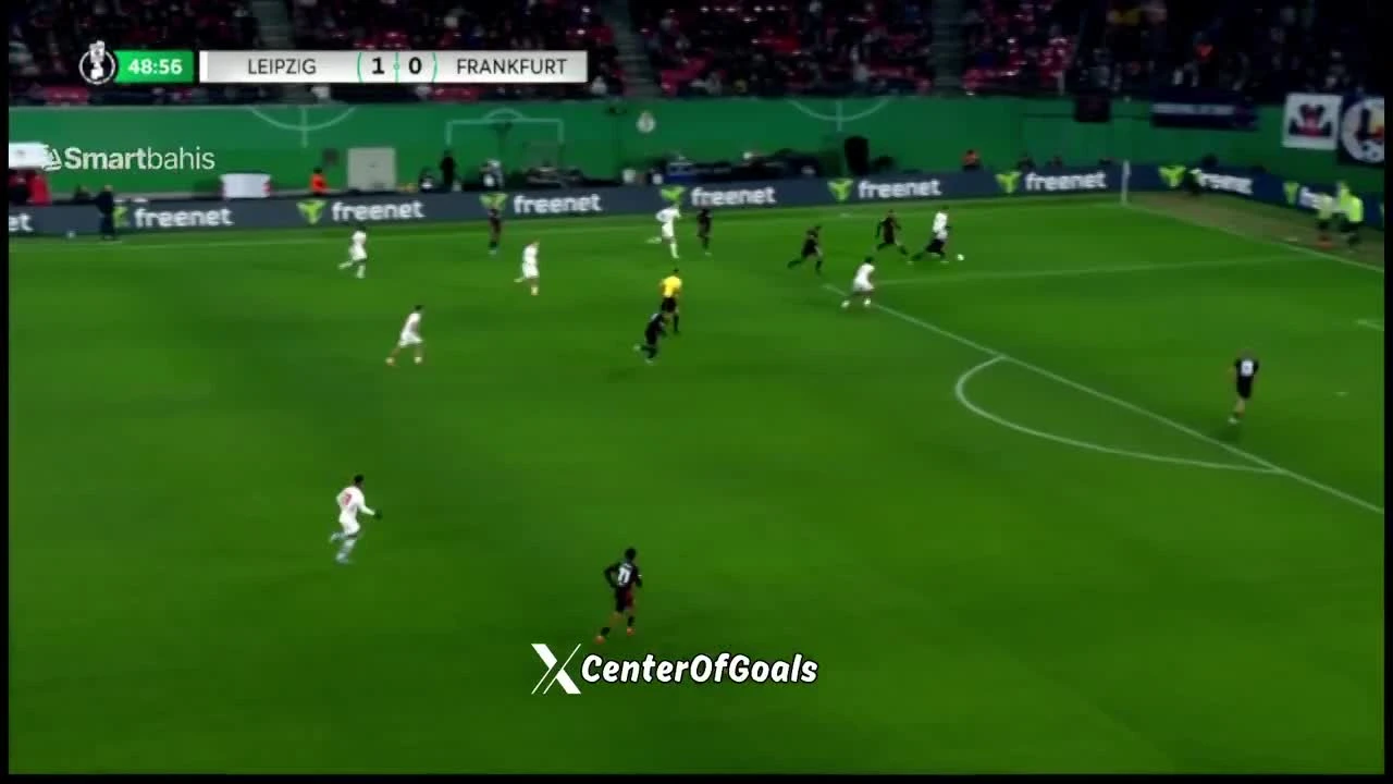 zaslepka skrotu video