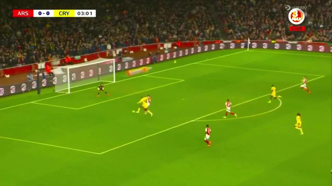 zaslepka skrotu video