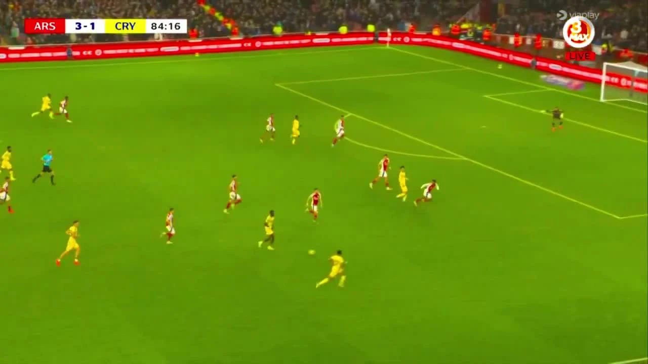 zaslepka skrotu video