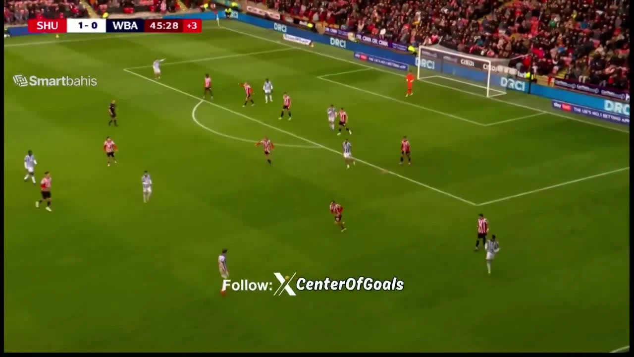 zaslepka skrotu video