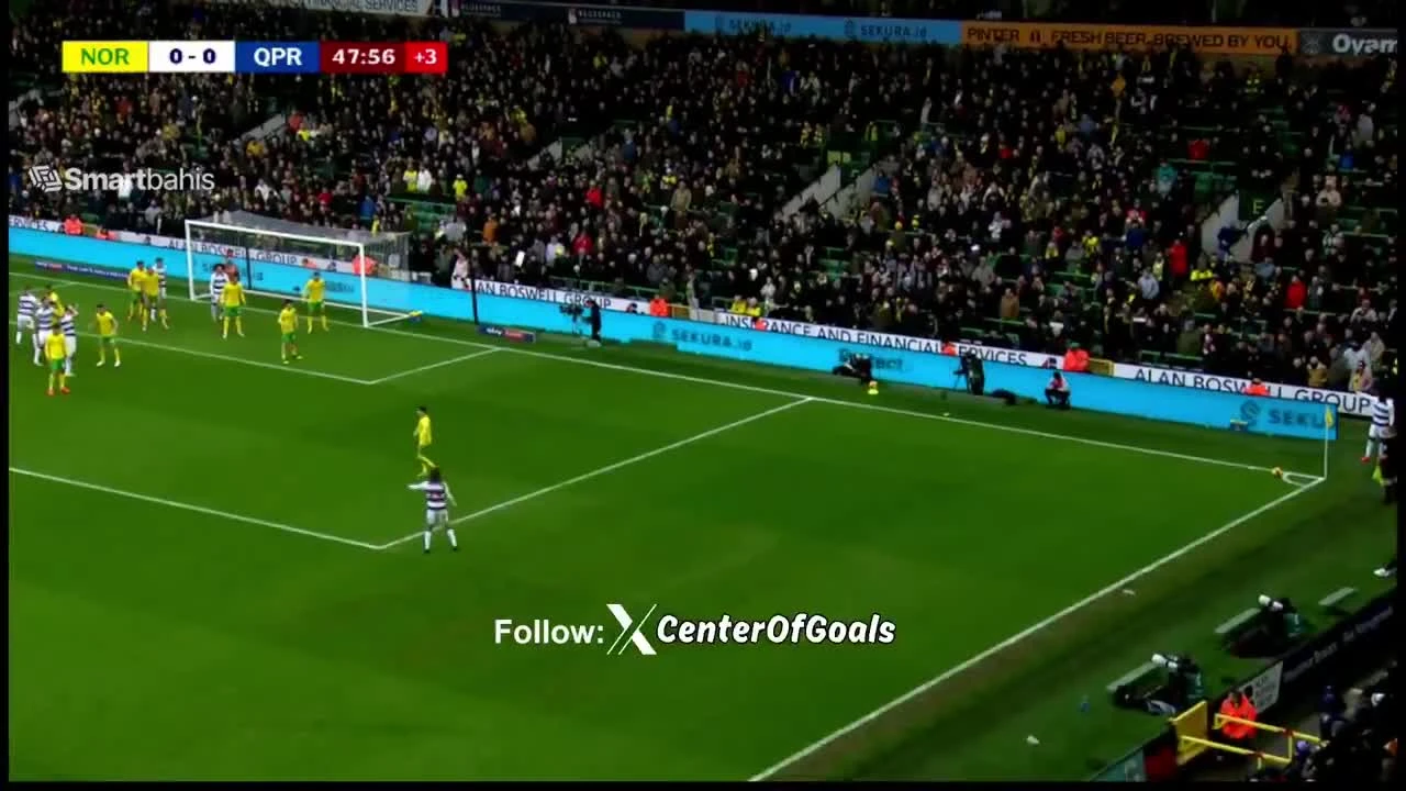 zaslepka skrotu video
