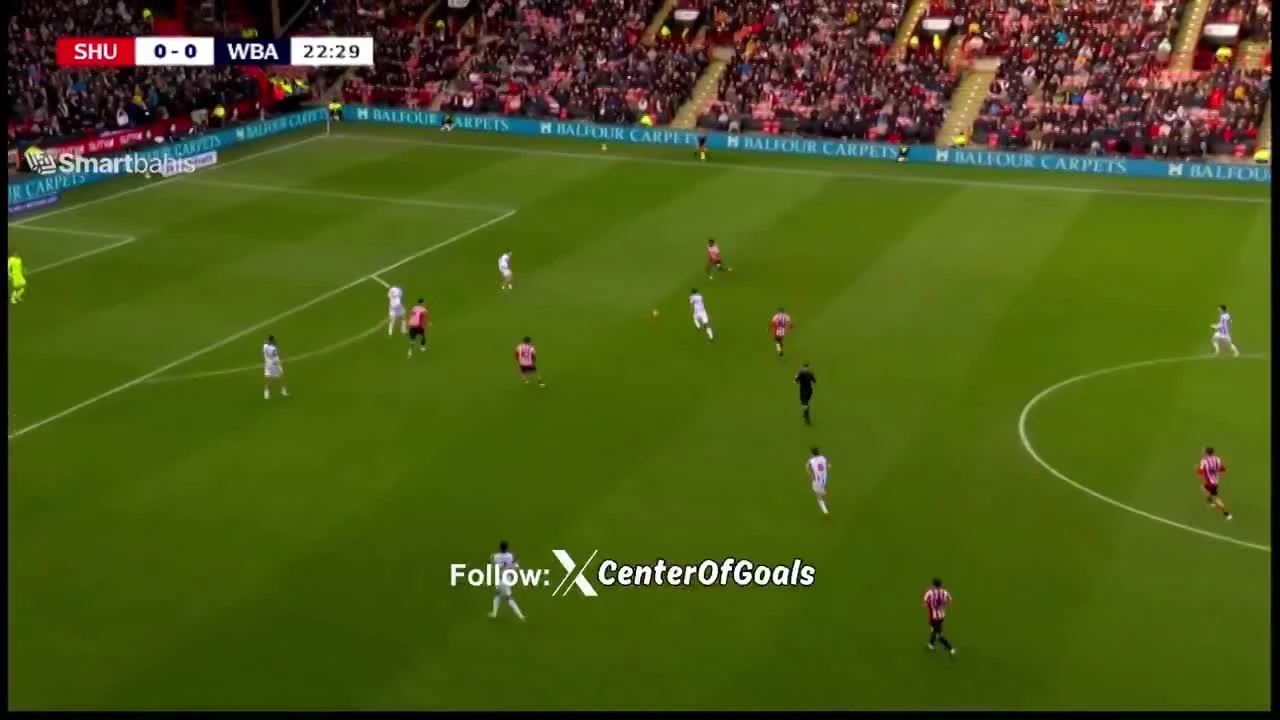 zaslepka skrotu video
