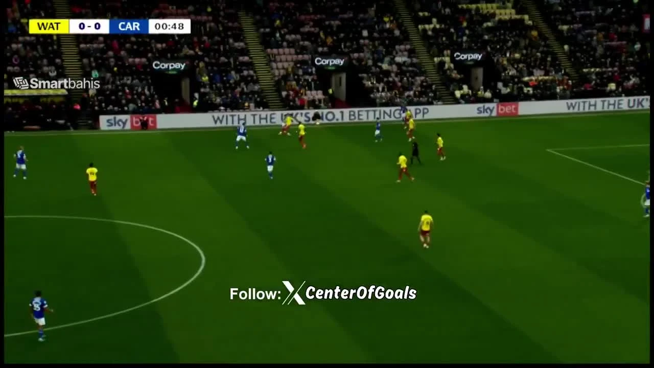 zaslepka skrotu video