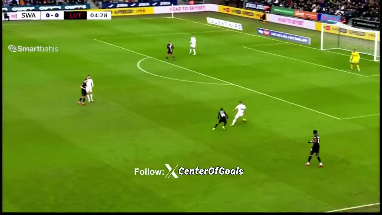 zaslepka skrotu video