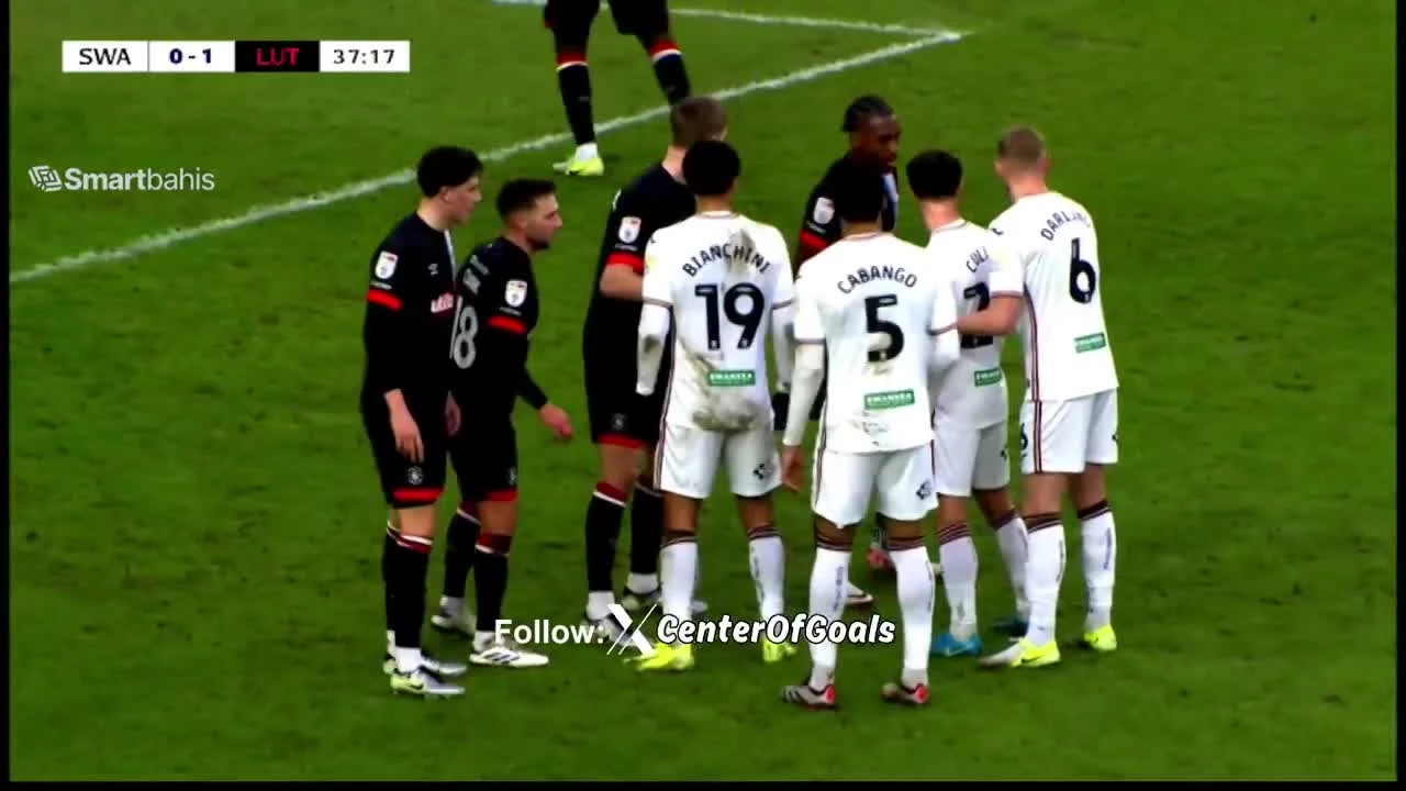 zaslepka skrotu video