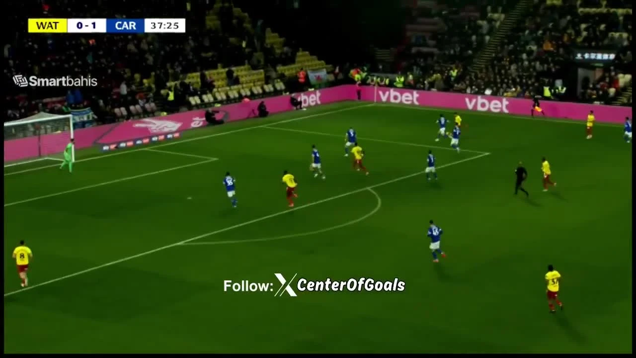 zaslepka skrotu video