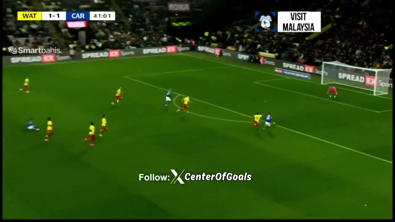 zaslepka skrotu video