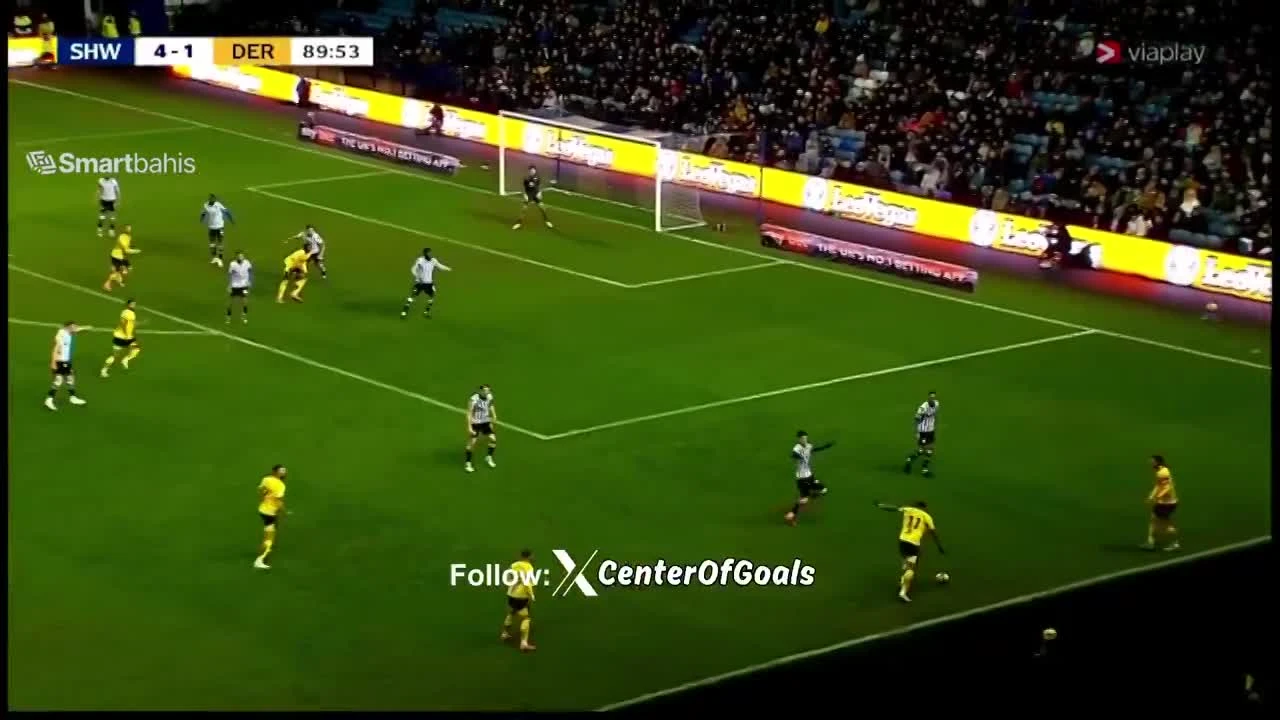 zaslepka skrotu video