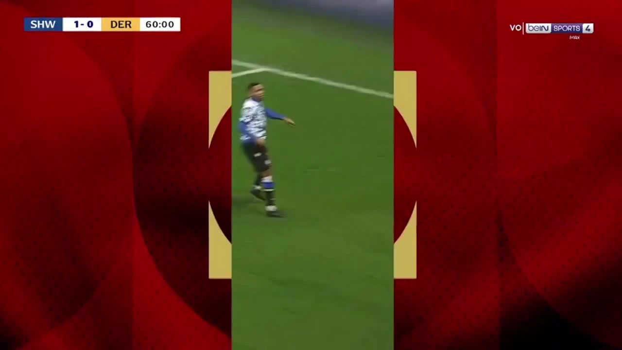 zaslepka skrotu video