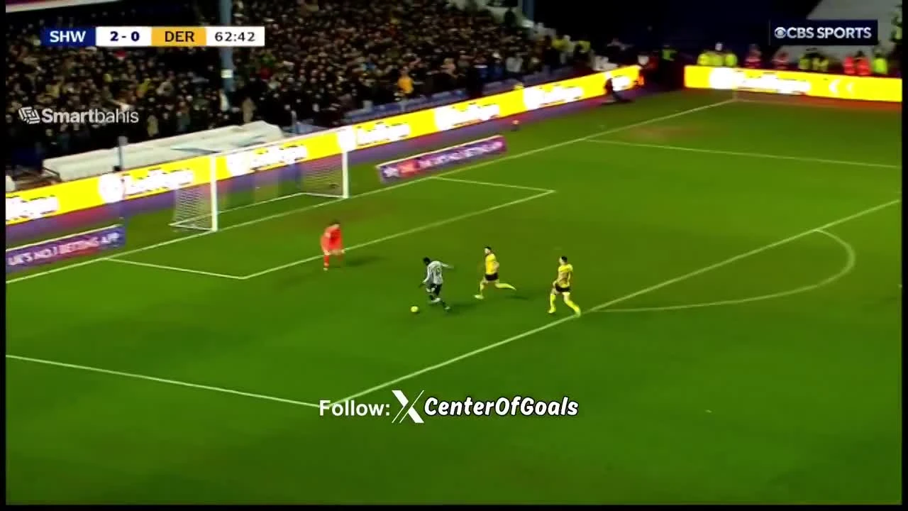 zaslepka skrotu video