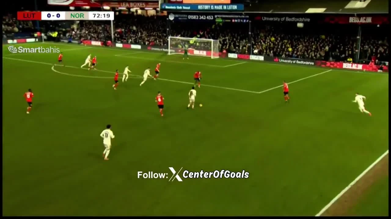 zaslepka skrotu video