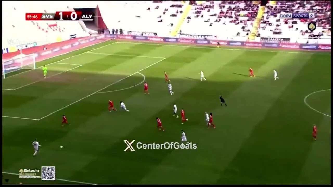 zaslepka skrotu video