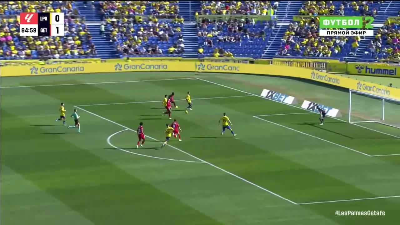 zaslepka skrotu video