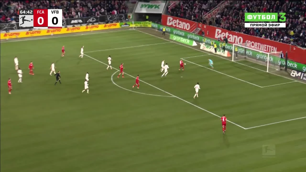 zaslepka skrotu video