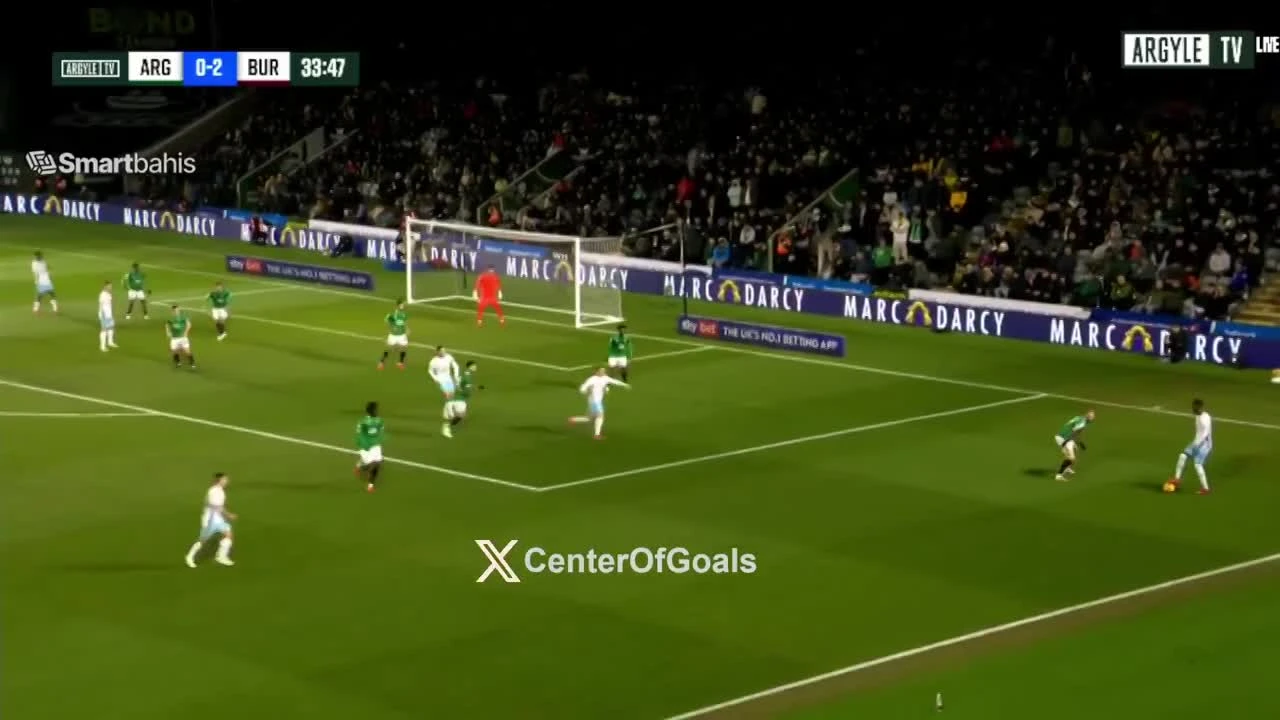 zaslepka skrotu video