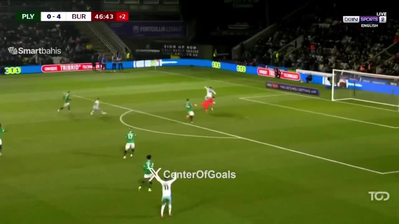 zaslepka skrotu video