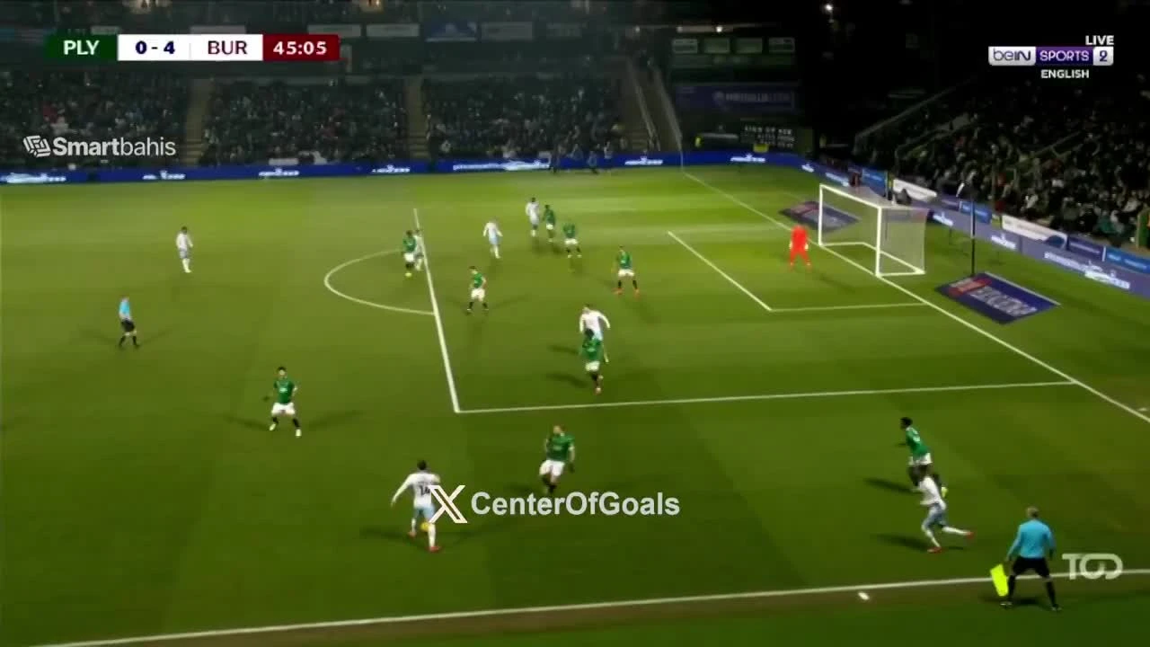 zaslepka skrotu video