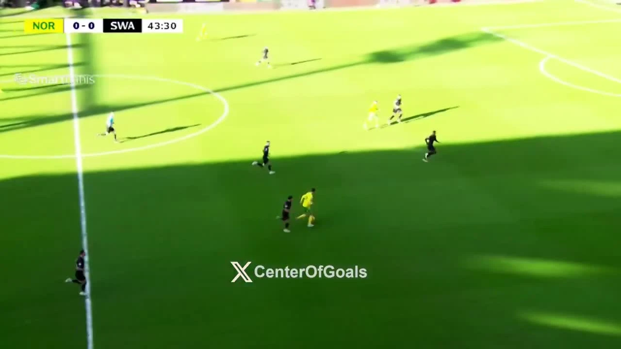 zaslepka skrotu video