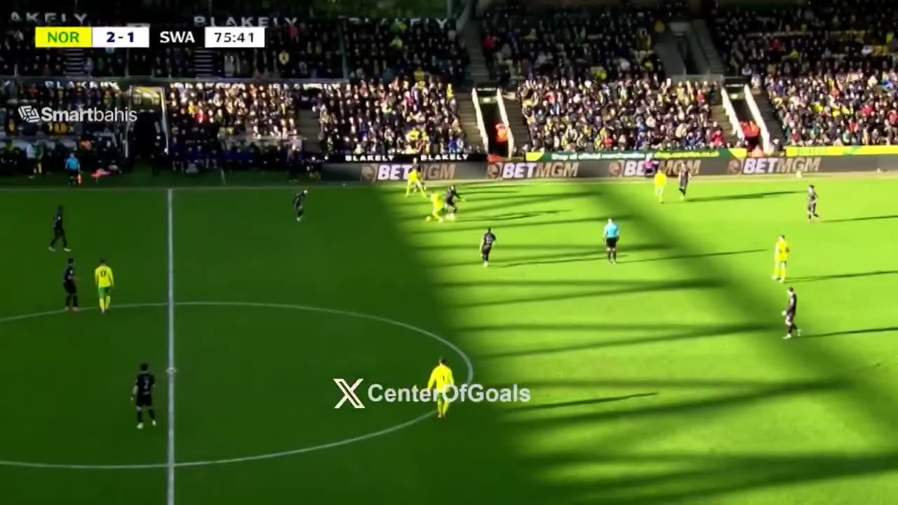 zaslepka skrotu video