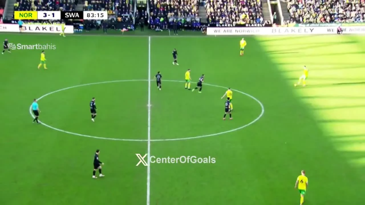 zaslepka skrotu video