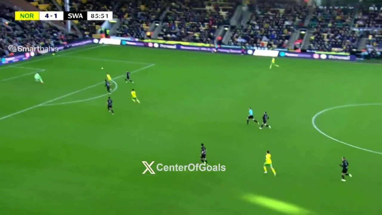 zaslepka skrotu video