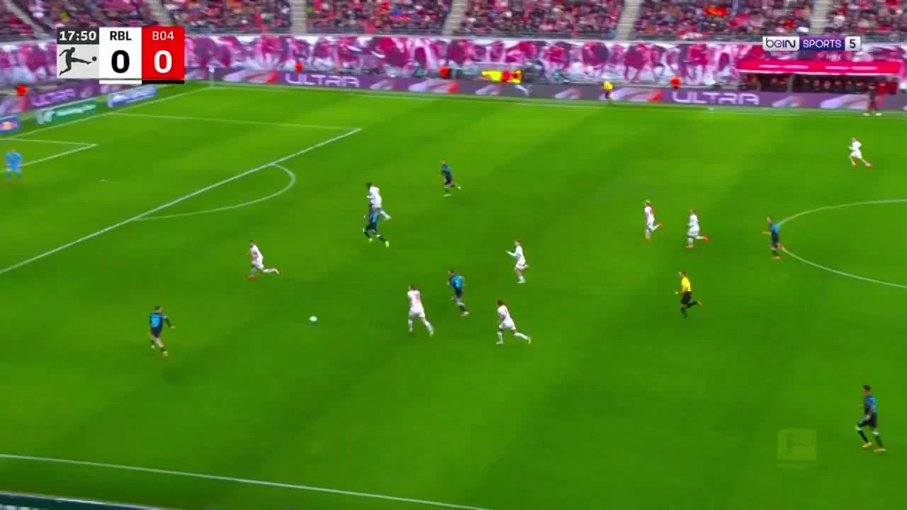 zaslepka skrotu video