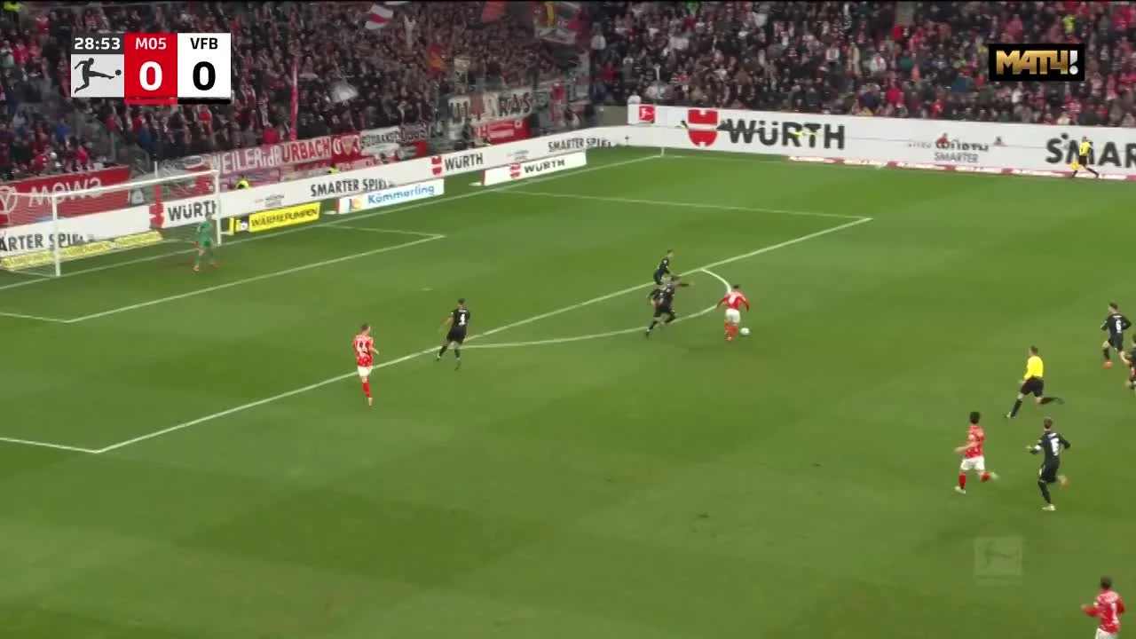 zaslepka skrotu video