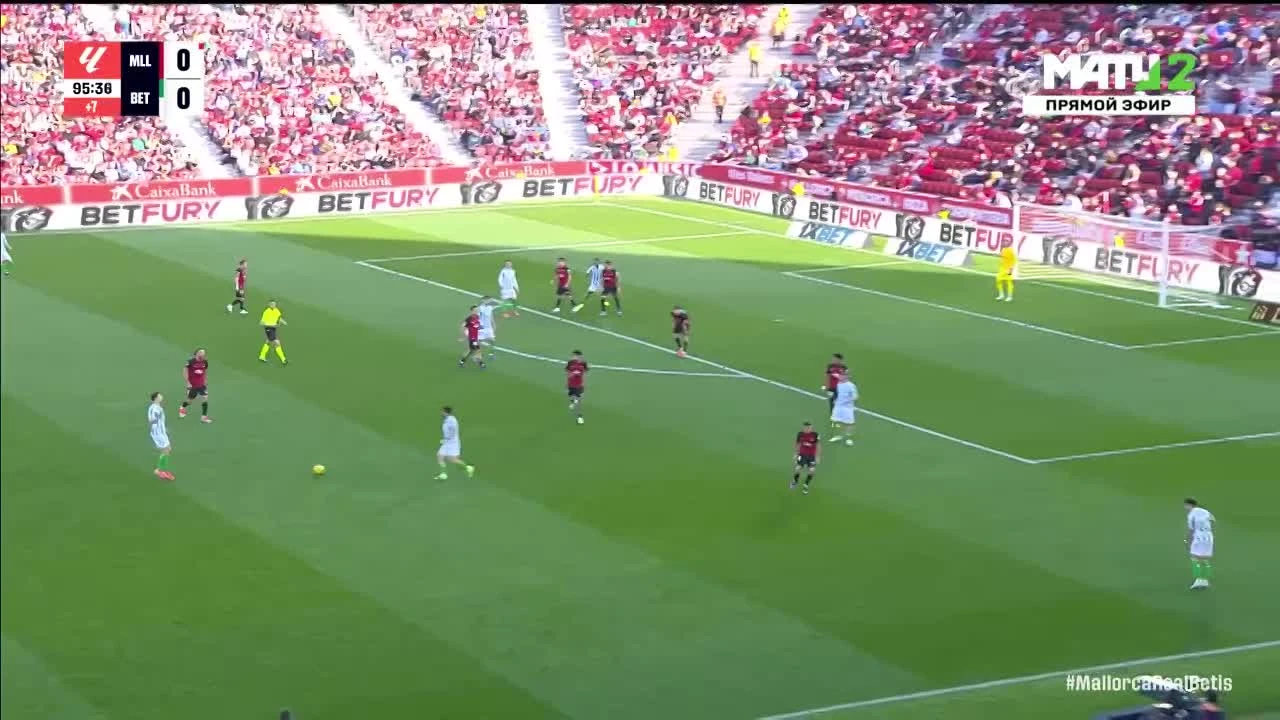 zaslepka skrotu video